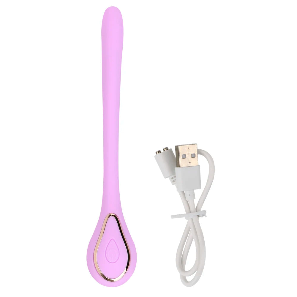 USB Rechargeable Clitoris Vagina Stimulation 10 Speeds G Spot Nipple Massager