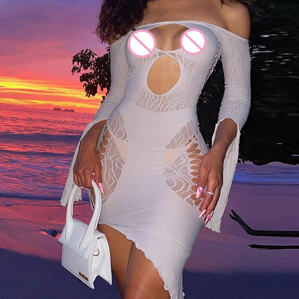 Sexy Off Shoulder Women Dresses Night Club Lace Fishnet Dress