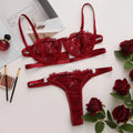 Lace Transparent Underwear Fairy Embroidery Brief Sets Delicate Bra Set