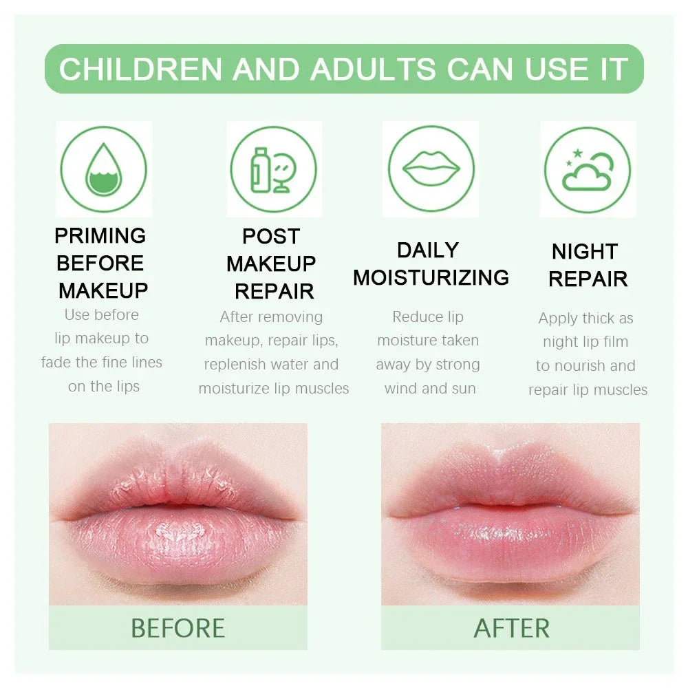 Fruit Lip Balm Lip Oil Hydrating Lipgloss